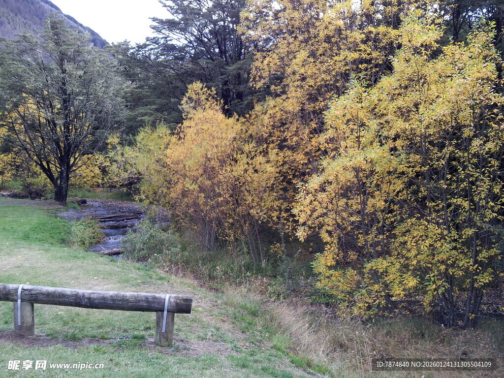 秋日林间长椅 静谧美景