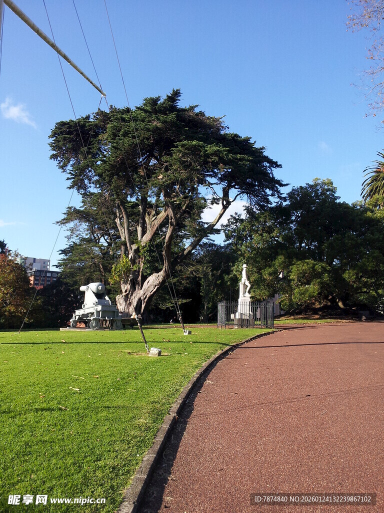 公园中的绿树与红色步道