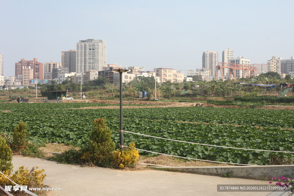 城郊田园与城市建筑景观