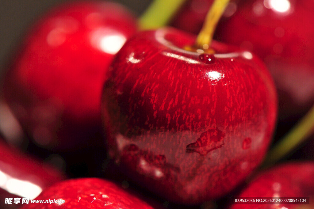 新鲜欲滴的红樱桃