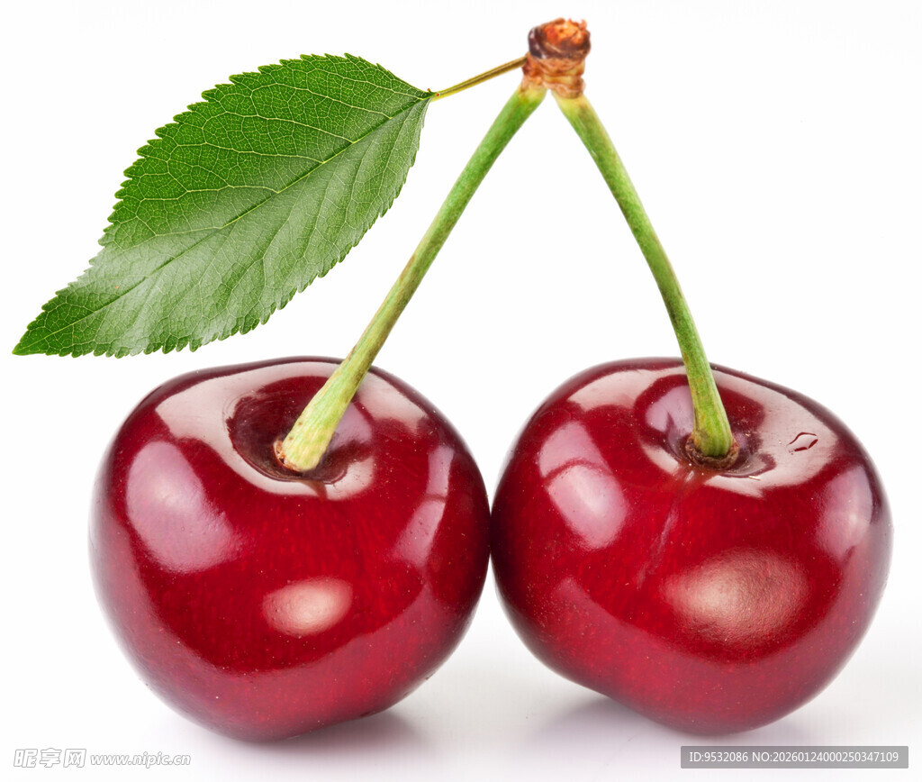 双颗鲜红饱满的樱桃
