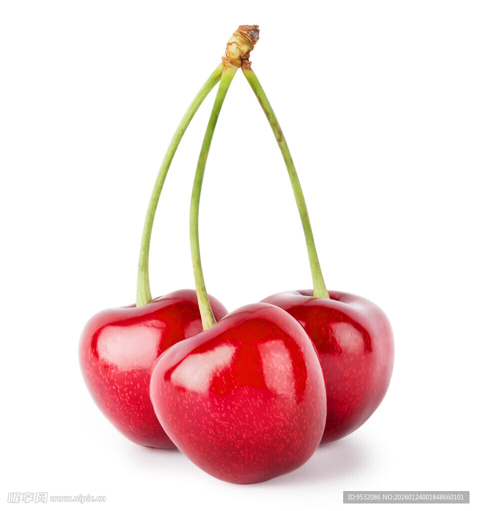 三颗鲜红饱满的大樱桃