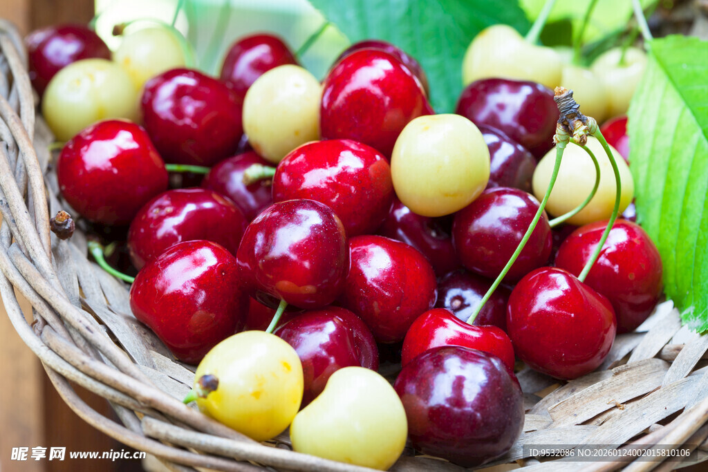 篮子里的多彩新鲜樱桃