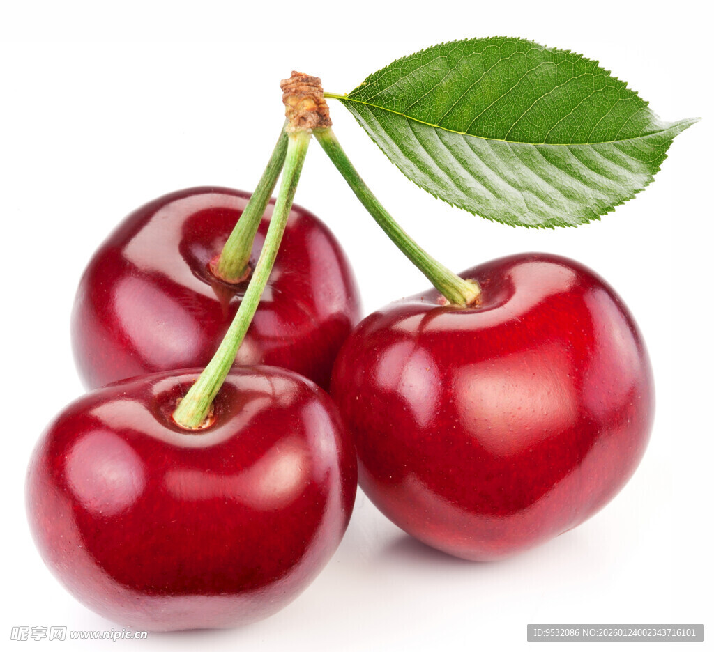 三颗鲜红饱满的大樱桃