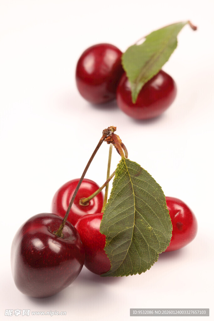 新鲜樱桃带叶诱人展示