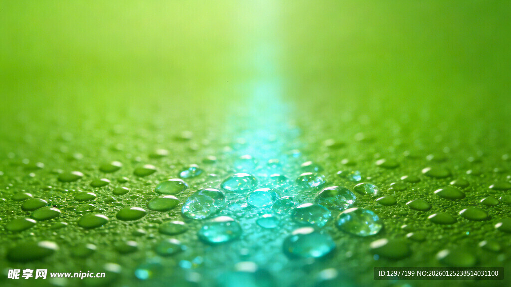 晶莹水滴下的绿色梦幻