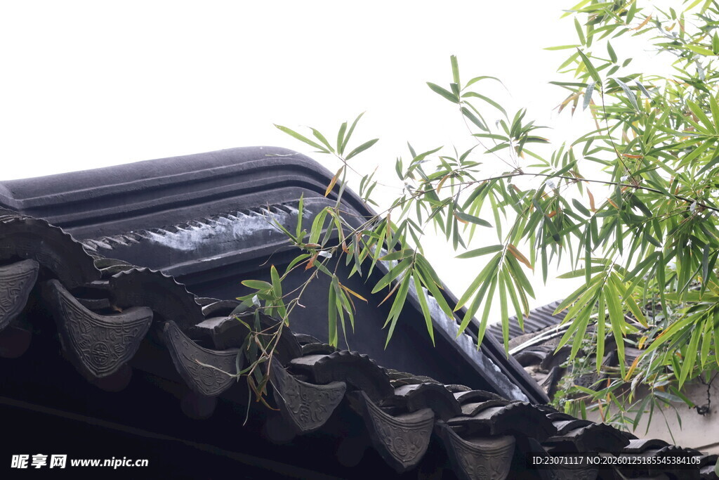 中式屋檐旁的翠绿竹子