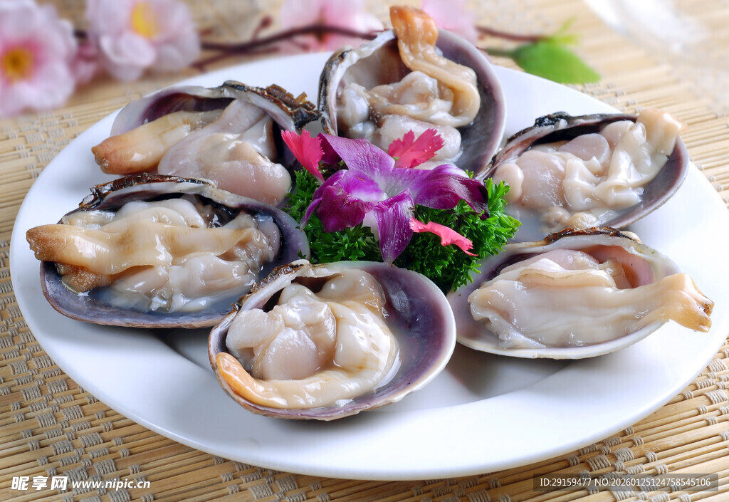 一盘美味的花蛤