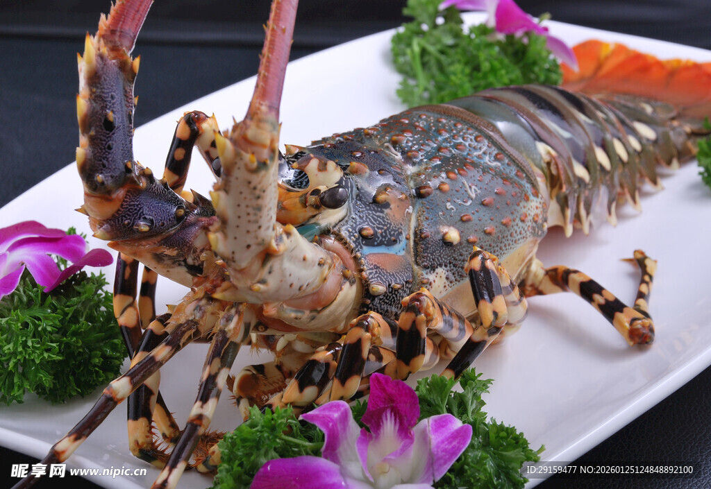 美味大龙虾摆盘精致