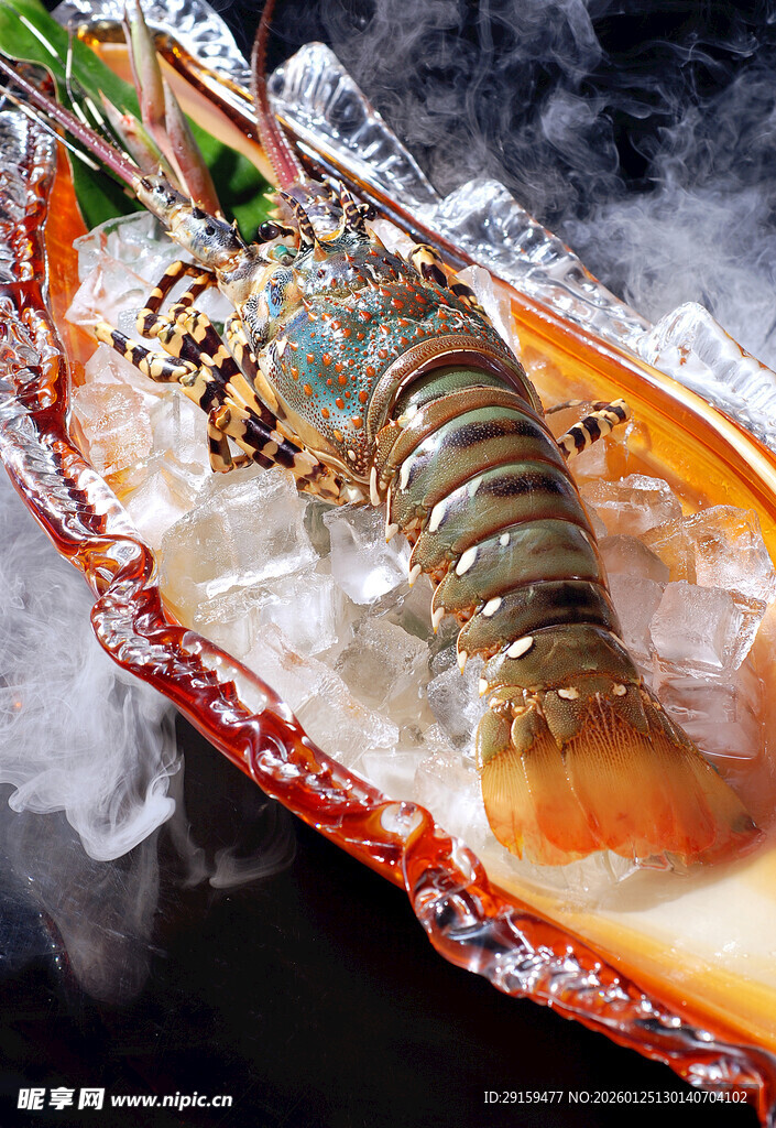 冰鲜大龙虾