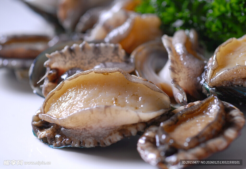 新鲜美味的生蚝