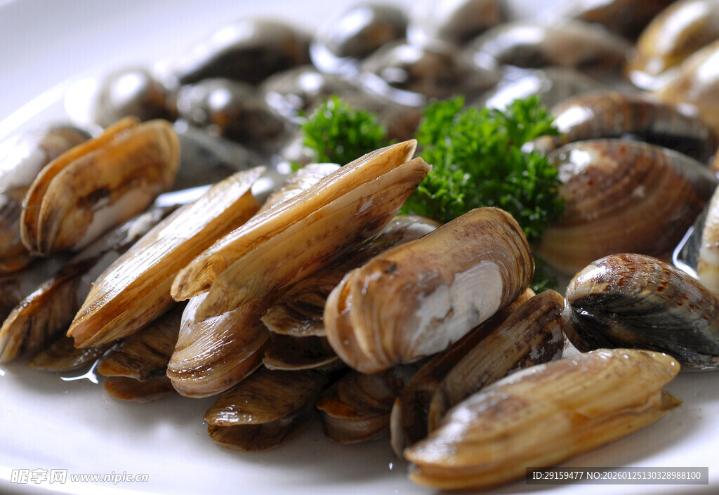 一盘美味的新鲜蛤蜊