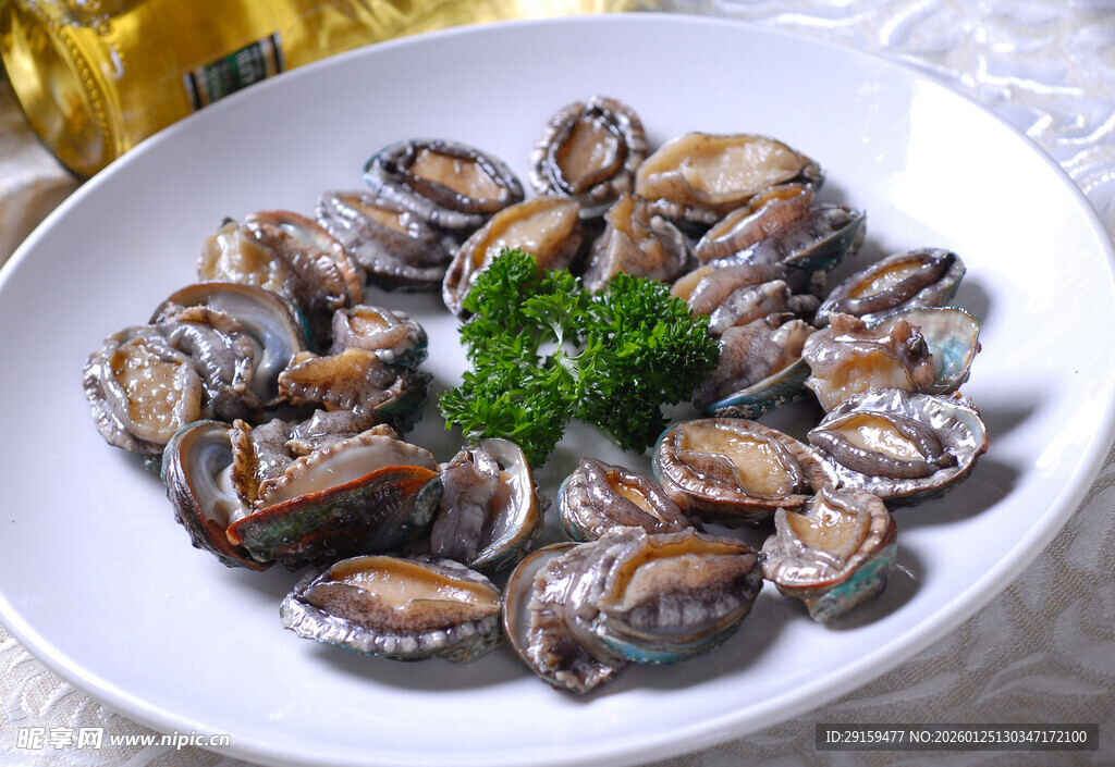 一盘美味的花蛤