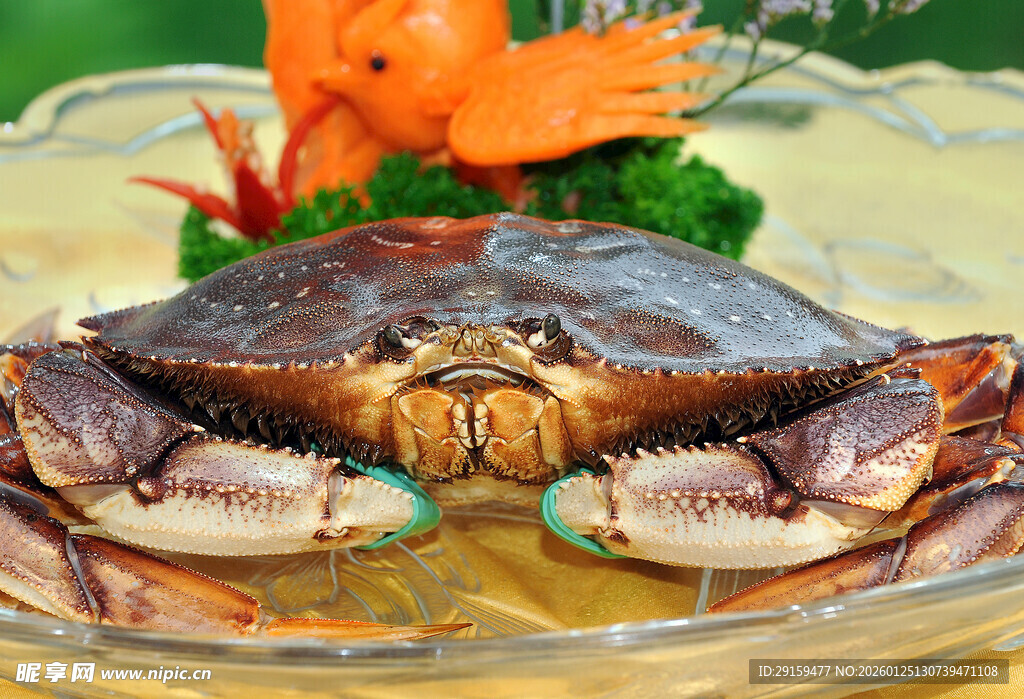 美味大螃蟹与配菜摆盘