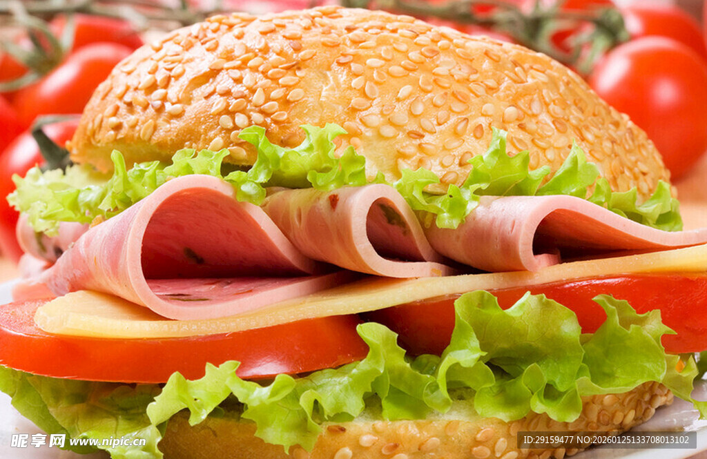 美味火腿生菜汉堡