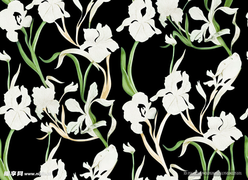黑色背景白色花卉图案
