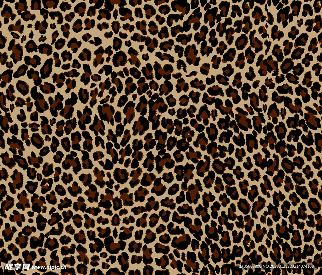 豹纹图案纹理特写