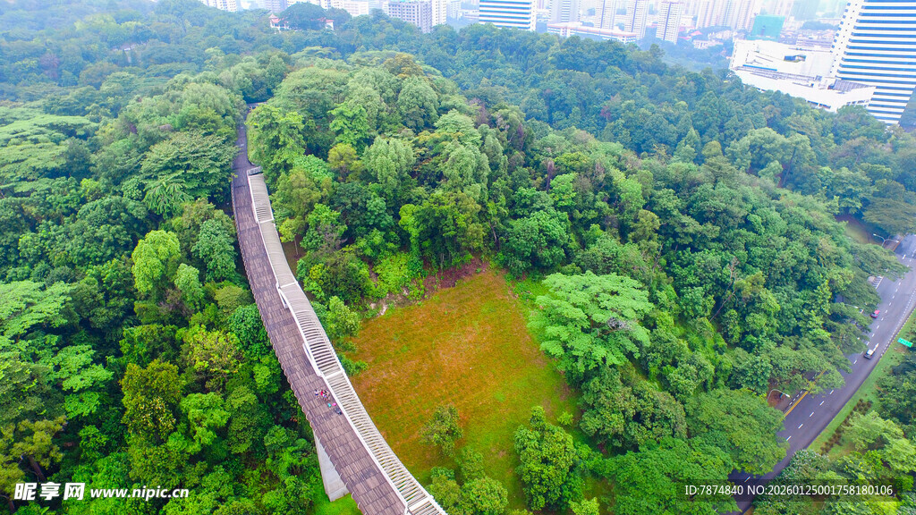 空中俯瞰山林中的蜿蜒道路