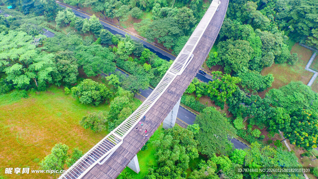 高空俯瞰跨林高架桥