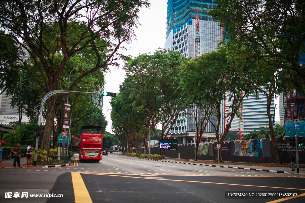 城市林荫街道景象