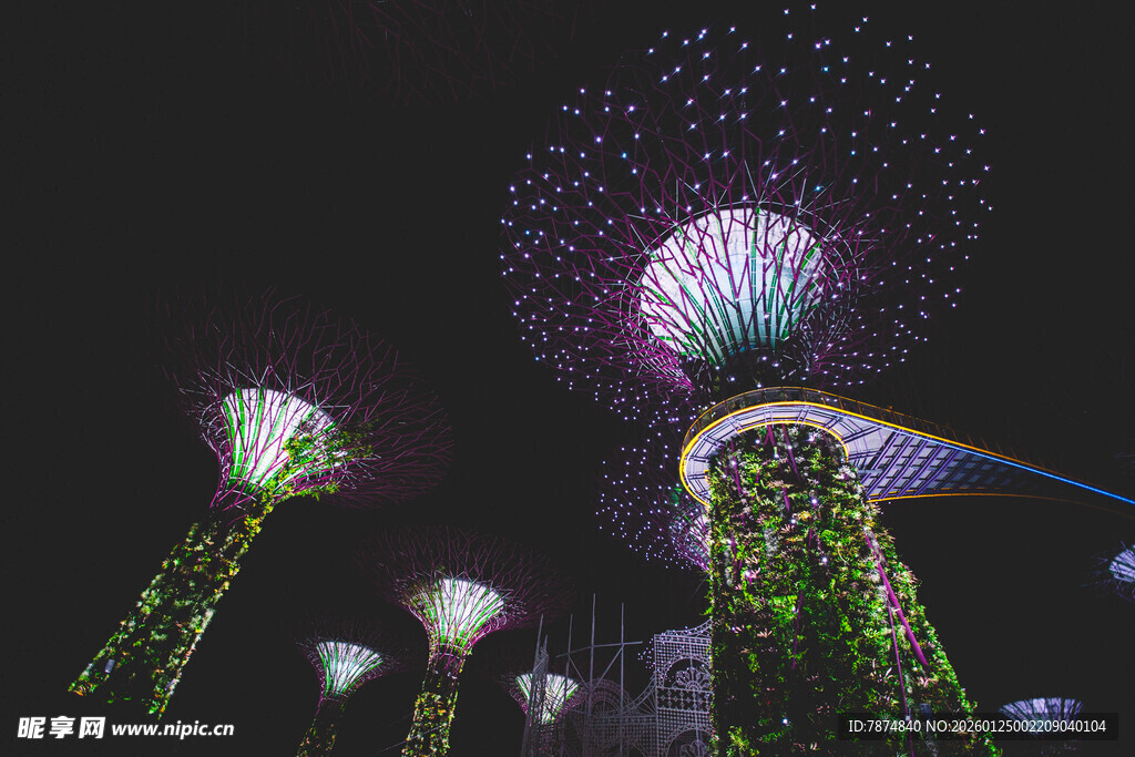 新加坡滨海湾夜景灯光秀