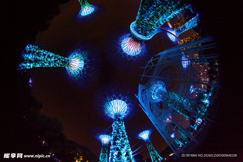 璀璨圣诞树夜景灯光秀