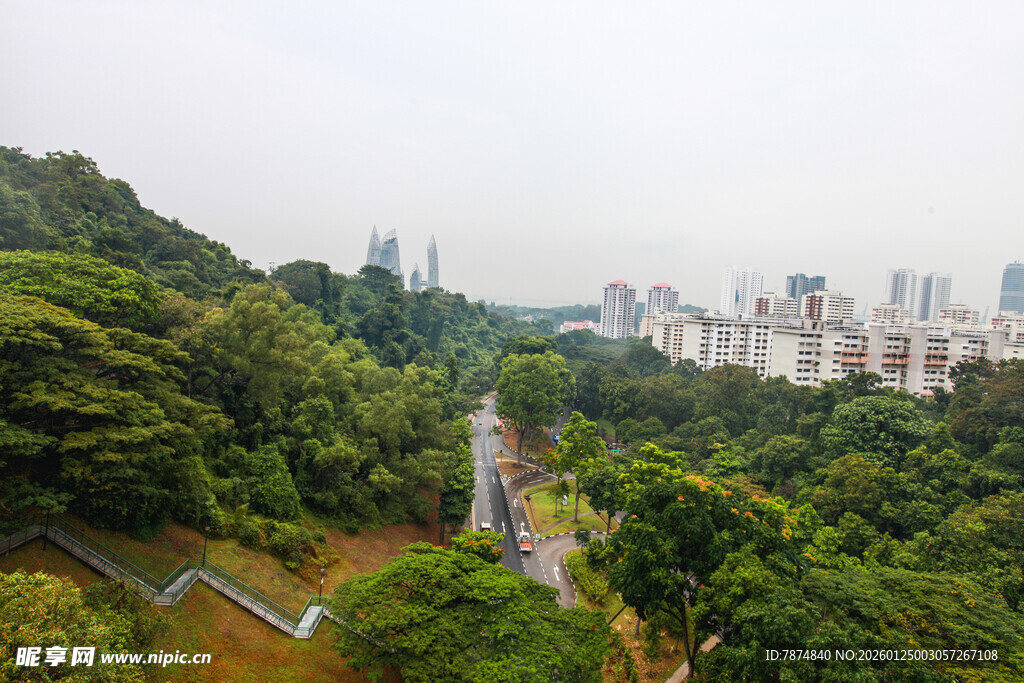 城市中的绿意盎然景观