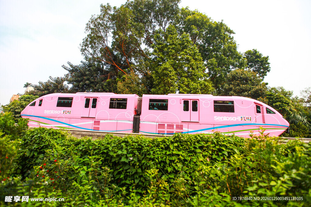 粉色列车穿梭于绿植间