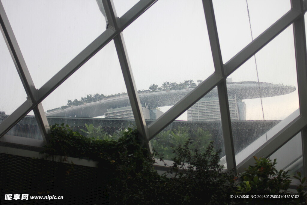 透过玻璃看建筑与绿植