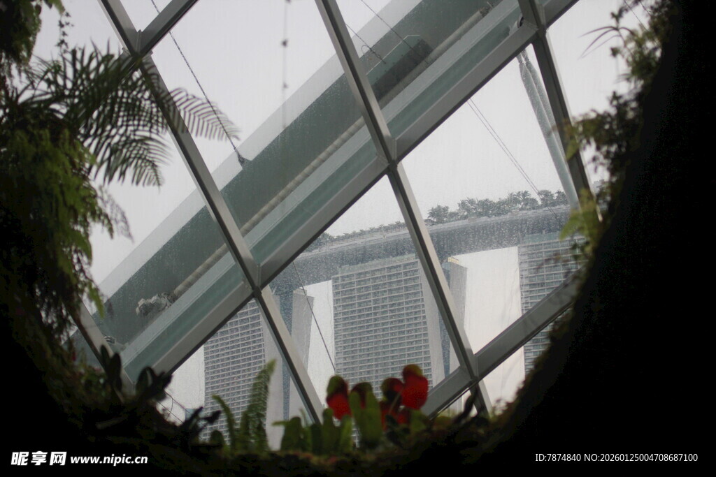 透过玻璃看绿植与建筑
