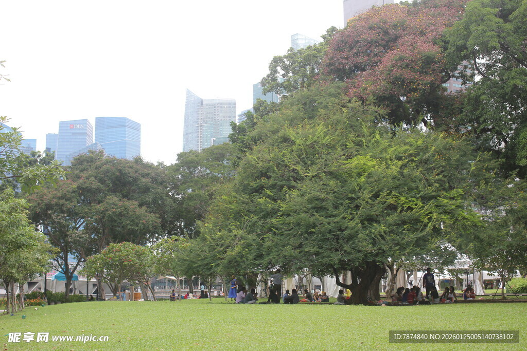 城市公园绿意盎然的草坪