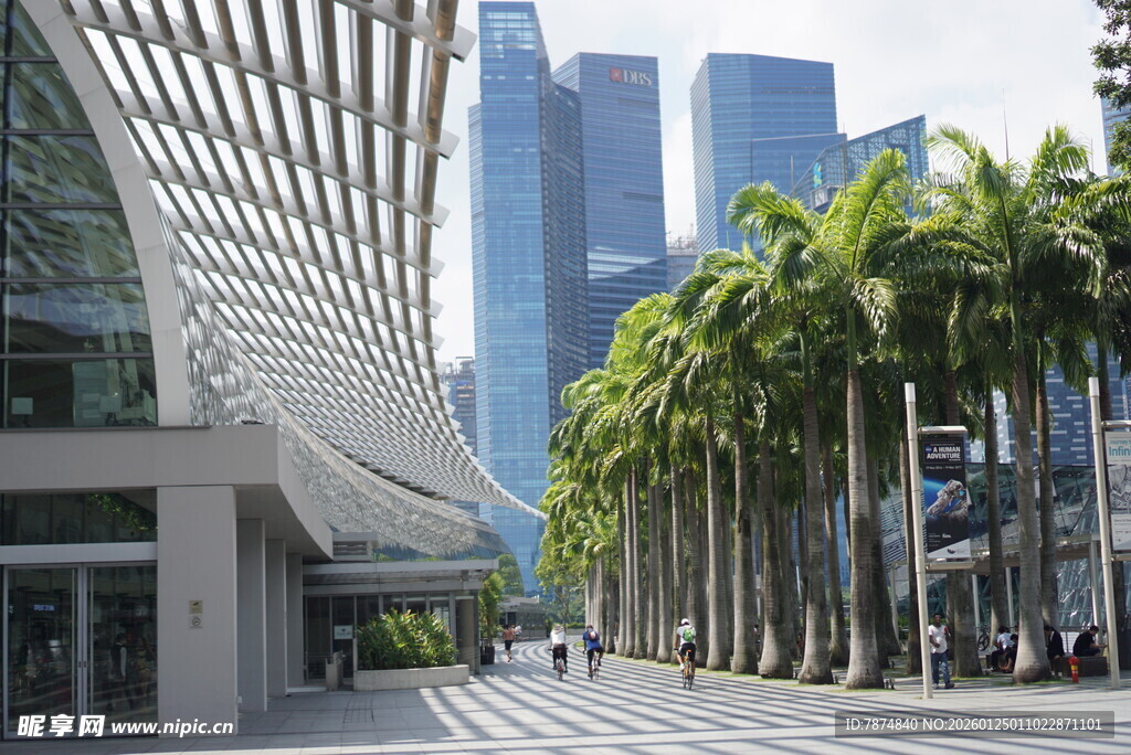 城市街道旁的棕榈树与高楼
