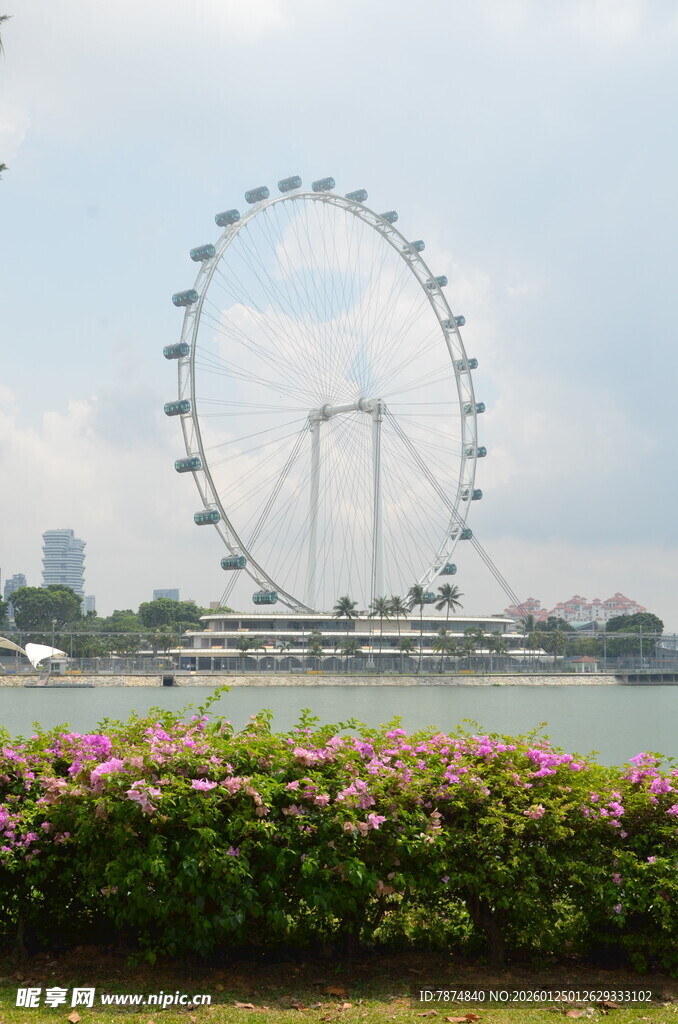湖畔摩天轮与烂漫花丛