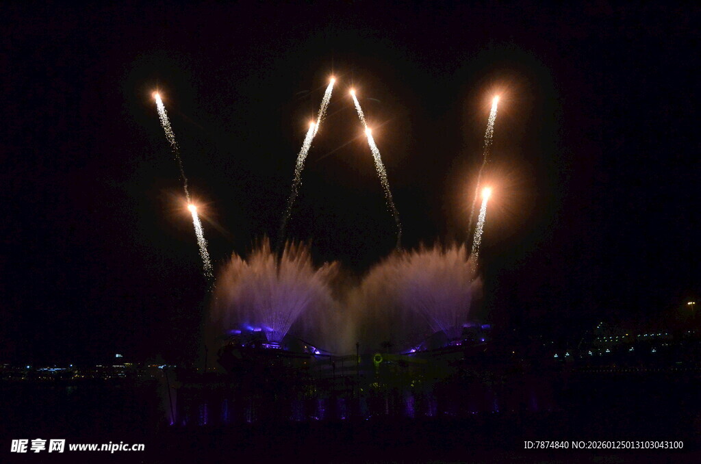 夜空中绚烂的烟花绽放