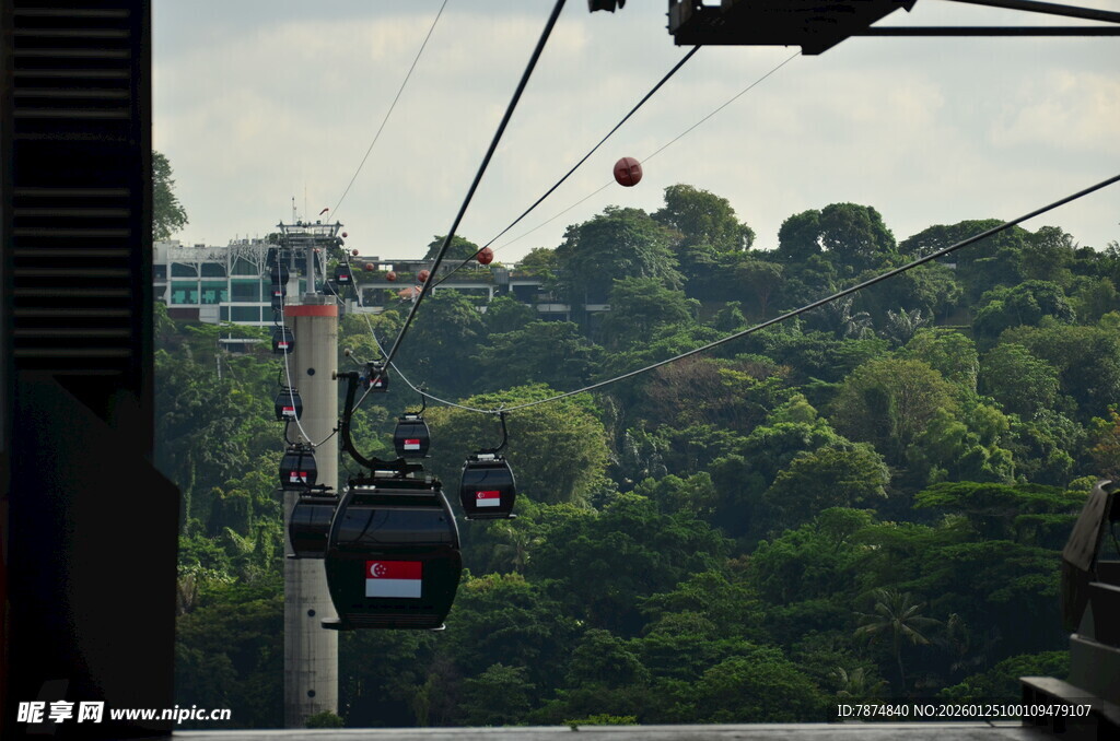 山间缆车穿梭于葱郁树林