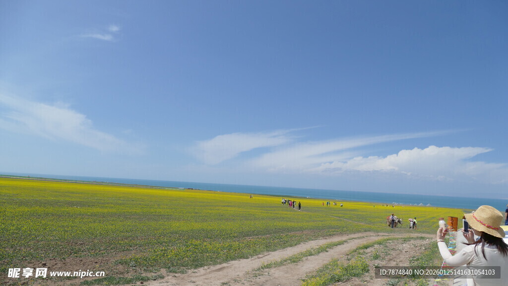 草原花海间的惬意瞬间