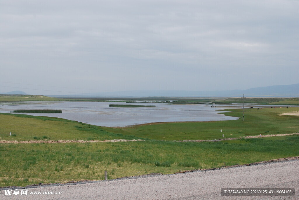 公路旁的湿地风光