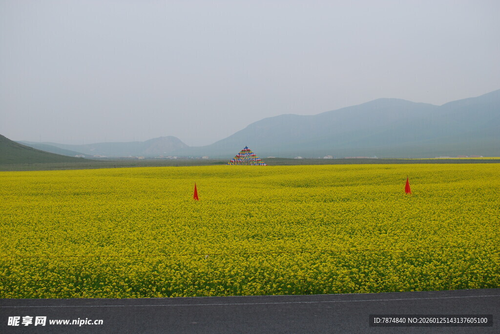 金黄田野与远山风景
