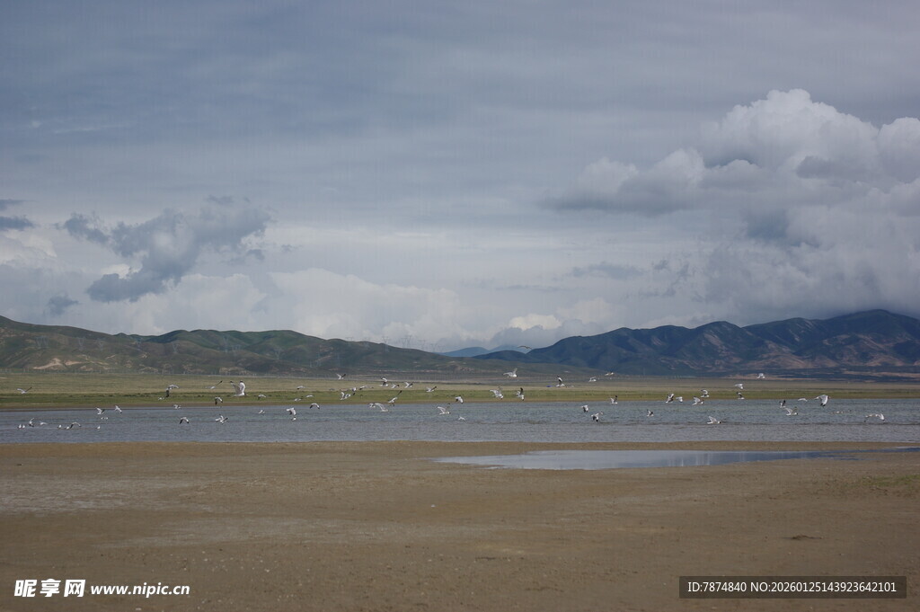 广袤湿地与远处山峦景观