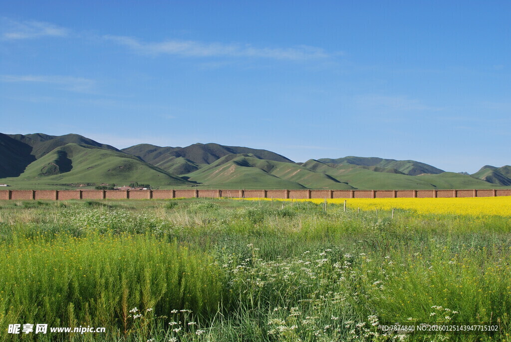 草原田野间的美丽风光