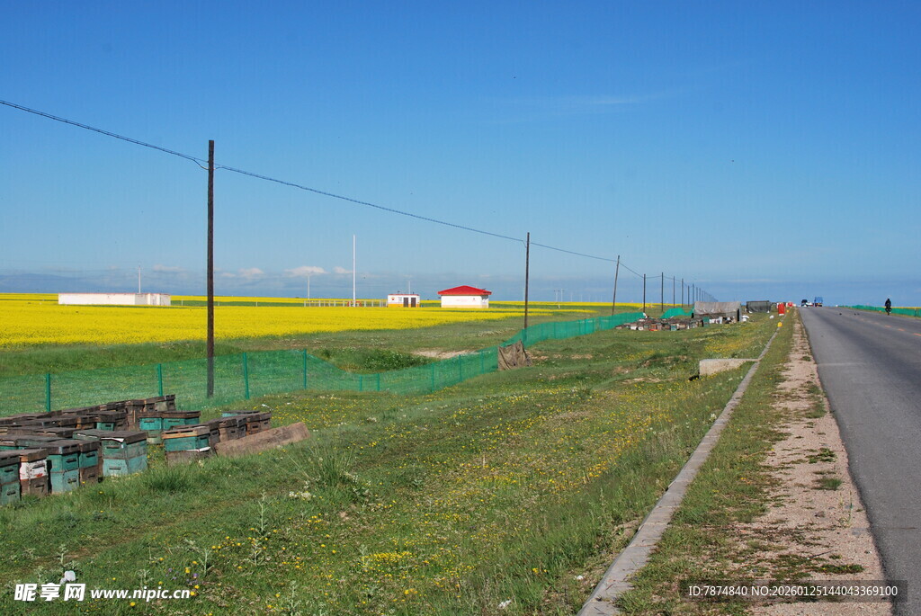 田野公路边的多彩风光