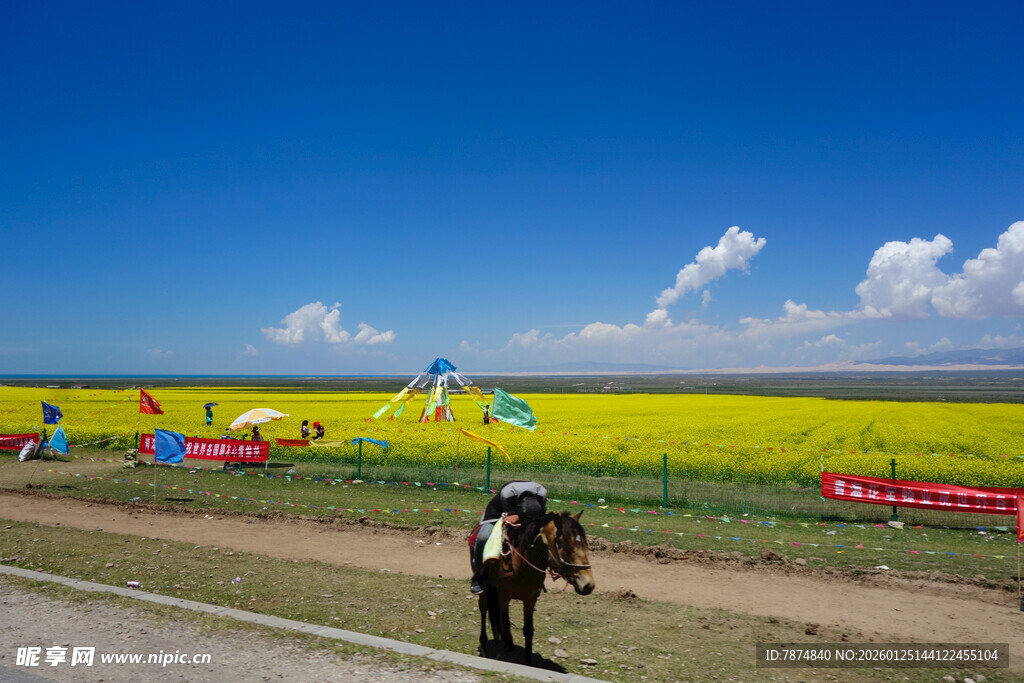 草原花海旁的骑马场景