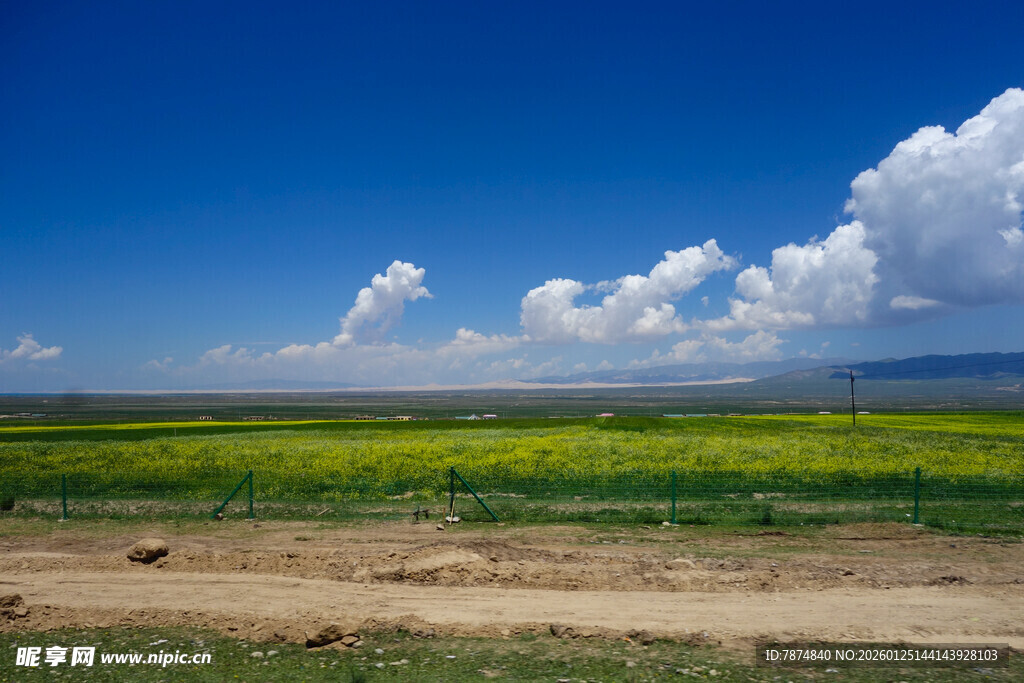 草原蓝天黄花风景如画