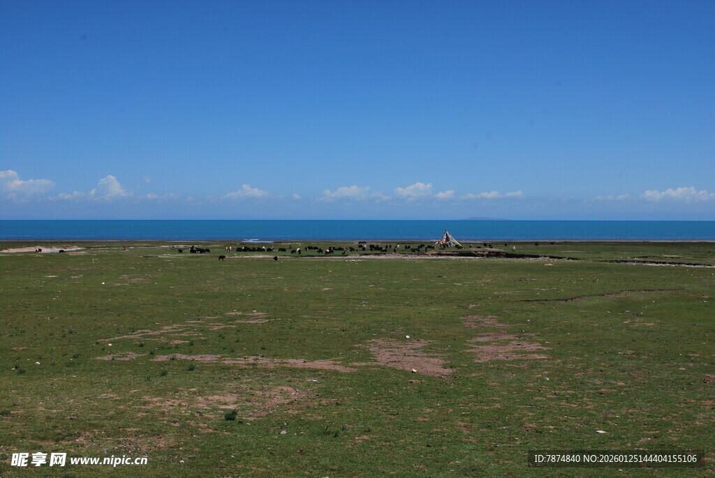 广阔草原与远处蔚蓝天空