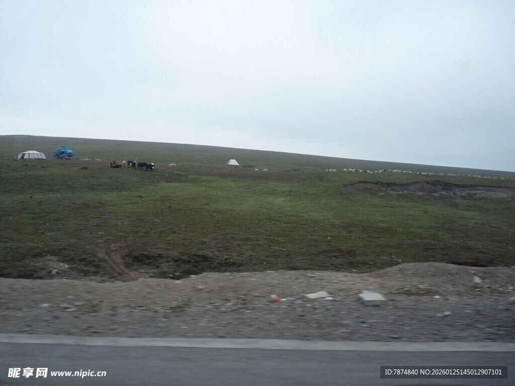公路旁的开阔草原景象