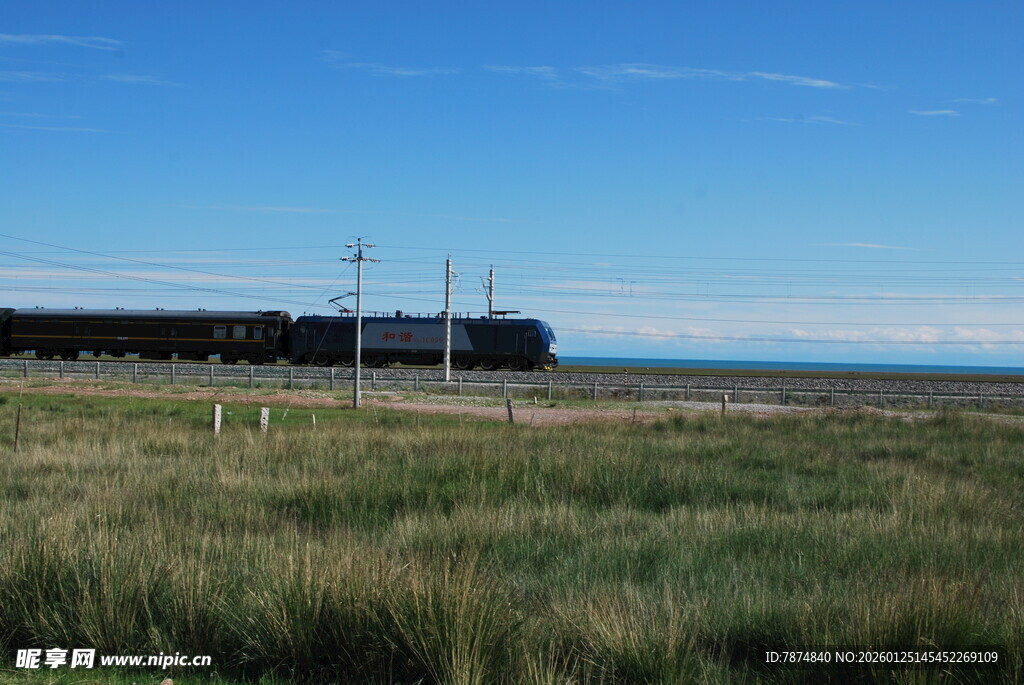 草原上的输电线路景观