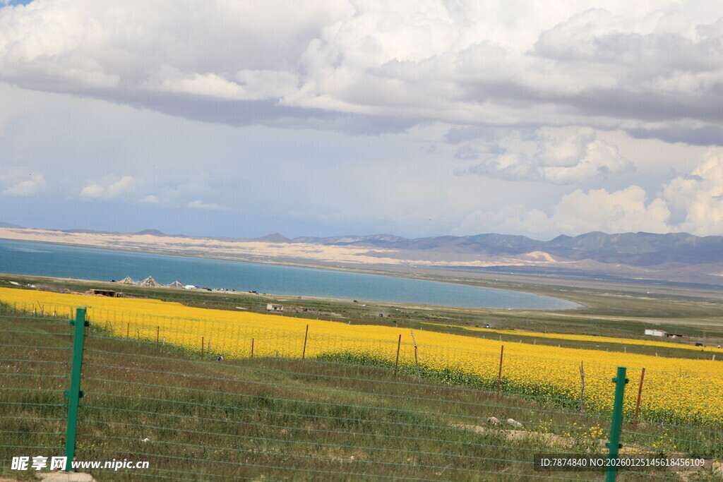 草原花海与远处的蓝色湖泊