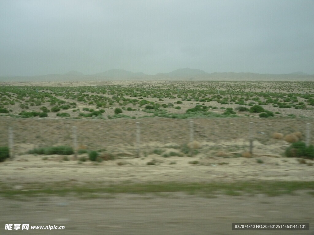 荒漠中的低矮植被与围栏