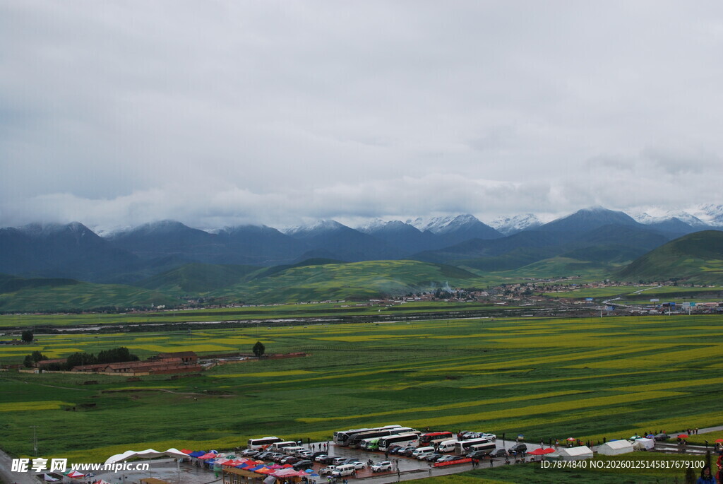 田园风光下的多彩田野景色