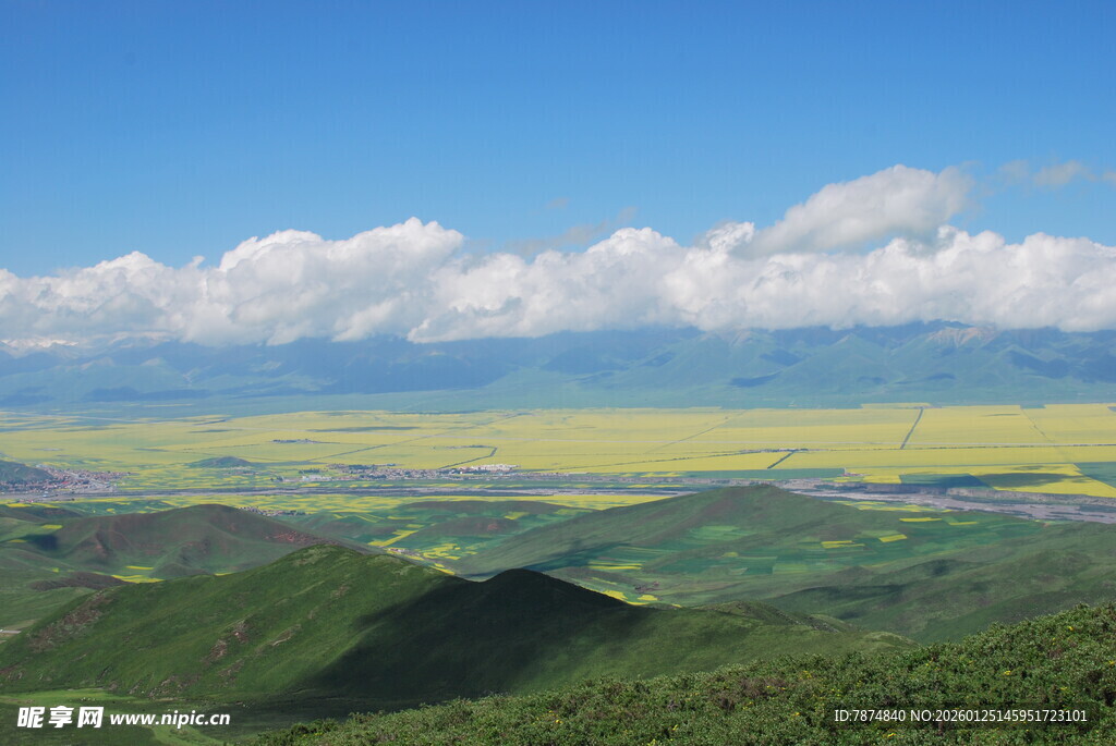 草原花海蓝天壮美风光